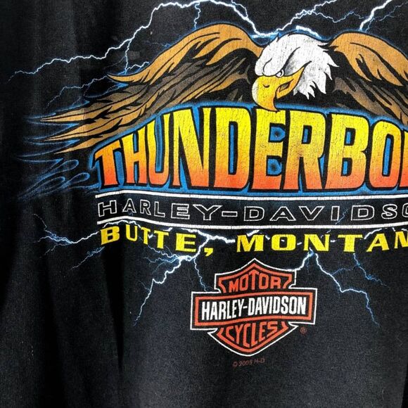 HARLEY DAVIDSON motor cycle tank graphic - Picture 5 of 6